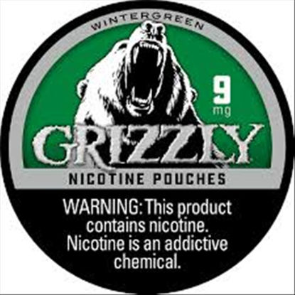 Picture of GRIZZLY POUCH 2.0 WINTERGREEN 6MG