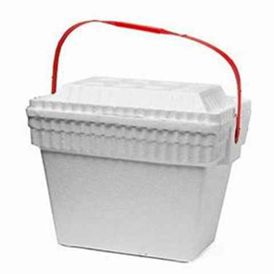 Picture of ICE CHEST WITH MOLDED HANDLE