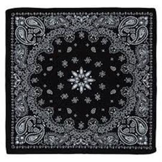 Picture of BANDANA