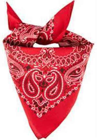 Picture of BANDANA MASK