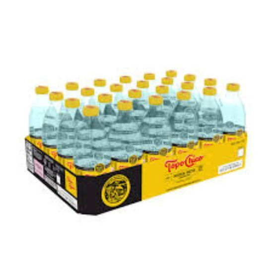 Picture of TOPO CHICO MINRAL WATER PET 20OZ 24CT