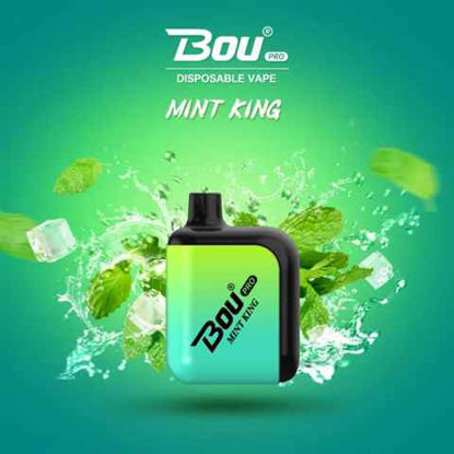 Picture of BOU MINT KING 7000 PUFFS 10CT