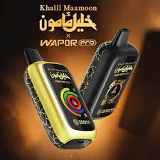 Picture of KAHLIL MAAMON ICE CINNAMON GUM 20000 PUFFS